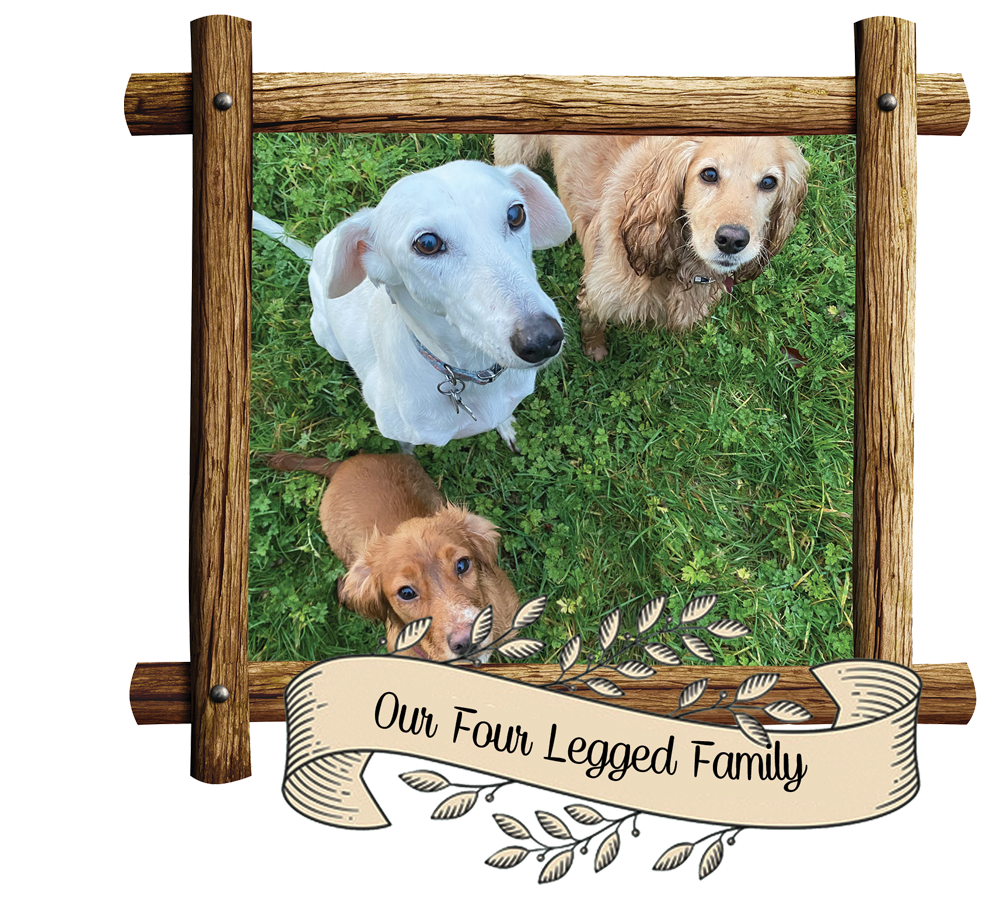 Our Four Legged Family