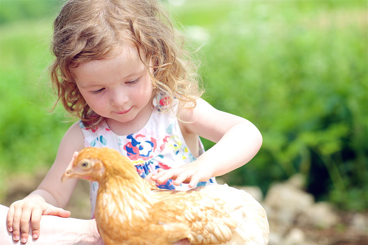 Our Lovely Girls - Arlington White's and French Maran's | Cacklebean Eggs