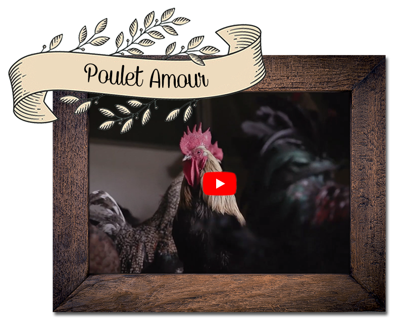 Poulet Amour